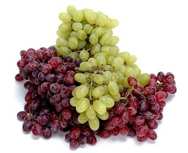 Vinotecas Cavas y Armarios Refrigerados